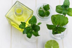 Peppermint Essential Oil Advantages