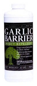 Garlic Mosquito Repellent for Yard