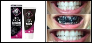 Japanese Charcoal Toothpaste