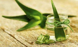 Aloe Vera to Remove a Hickey