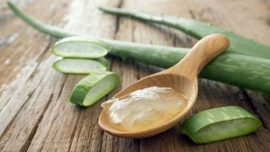 Aloe Vera Treatment for Ring Worms